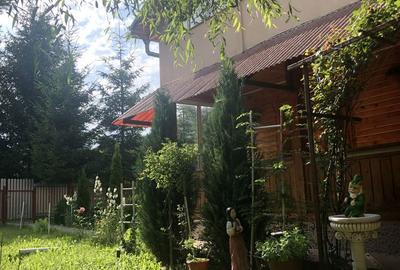 Casă cu 4 camere în Lepșa - 5