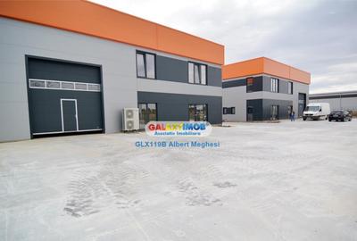 Hala 572 mp Chiajna - 3