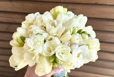 Floraria la cheie + dosar fonduri europene Floraria la cheie + dosar fonduri europene - 1