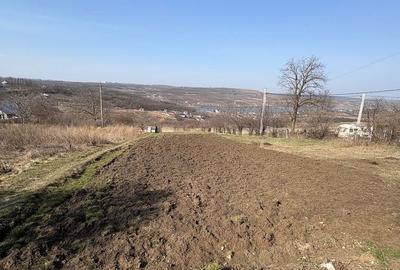 Teren de 2000 mp, în Aroneanu - 3