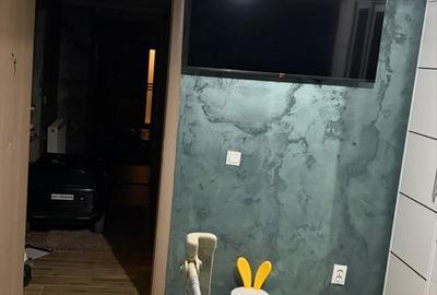 Casă cu 2 camere în Străulești - 1