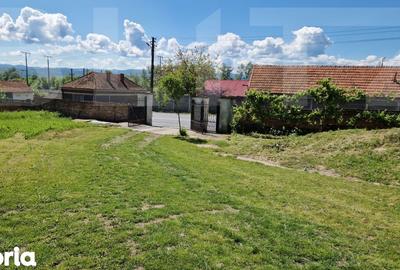 Casă cu 4 camere cu Teren 3166 Mp în Burjuc - 5