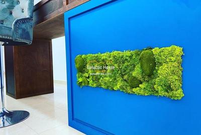 Apartament cu 5 camere decomandat în Universitate - 3