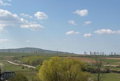 Spațiu comercial, în Alparea