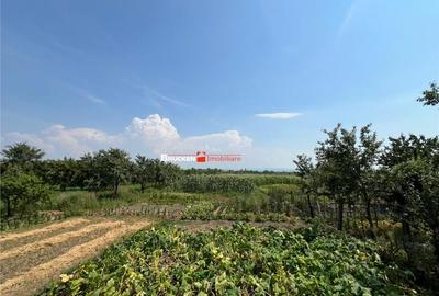 Casă cu 5 camere cu Teren 4316 Mp în Petreu - 5