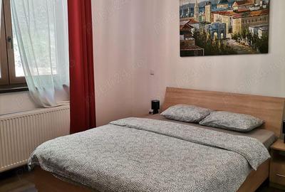 Vanzare Vila P + 1 mobilata si utilata, Localitatea Porumbacu de Sus, Jud. Sibiu - 16