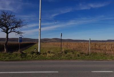 Teren agricol extravilan de 3000 mp, în Orlat