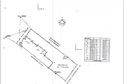 Teren+ Casa batraneasca - zona Domenii - 6