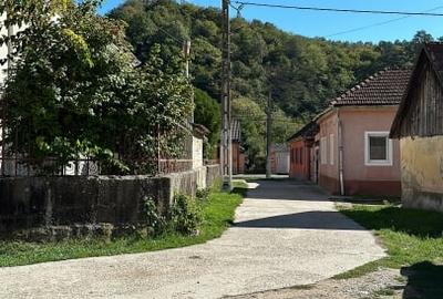 Casă individuală cu 2 camere cu Teren 719 Mp în Dognecea - 4