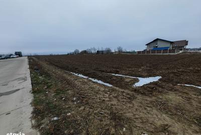 Spațiu comercial, în Sărata - 5