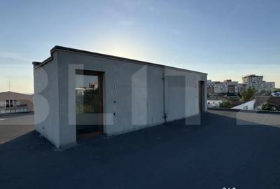 Apartament cu 4 camere decomandat în Brazda lui Novac - 12