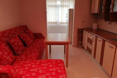 Apartament cu 2 camere decomandat în Gorjului - 9