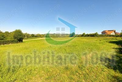 Teren de 6300 mp, în Cărbunari - 3
