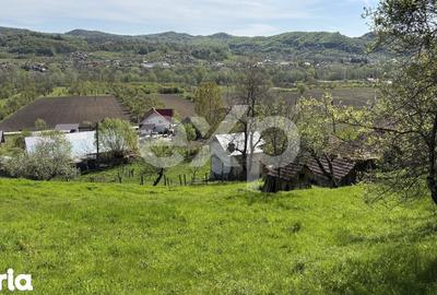 Teren de 14613 mp, în Tigveni - 7