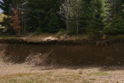 Teren 15841 mp,pret 8 /mp Muntele Rece com. Maguri Racatau - 2