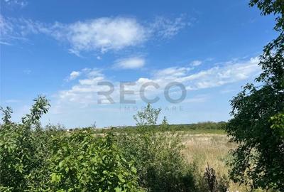 Teren de 39000 mp, în Leș - 2
