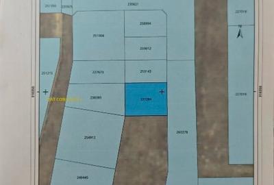 Teren de vânzare Palazu mare (malul înalt) - 5