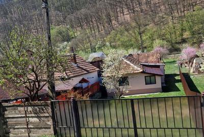 Casă cu 2 camere în Leșnic - 2