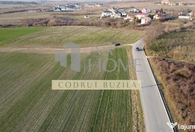 Teren în Chițorani - 3
