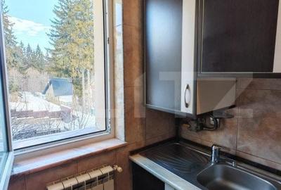 Apartament cu 2 camere decomandat, mobilat în Vlădeț - Trei Brazi - 6