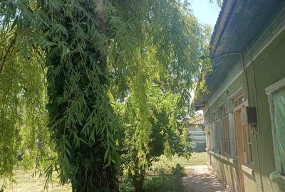 Teren în Băneasa - 4