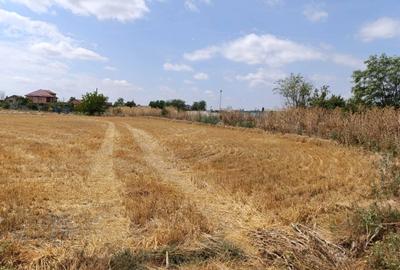 Spațiu comercial, în Central