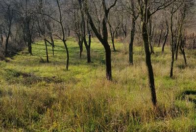 Casă cu 1 camere în Malovăț - 5