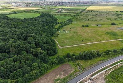 TERENURI PADUREA BISTRA - 3