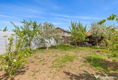 Casă cu 4 camere cu Teren 1007 Mp în Horia - 8