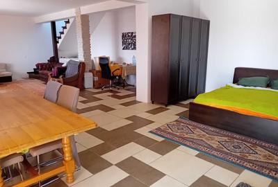 Apartament cu 2 camere nedecomandat, mobilat în Iris