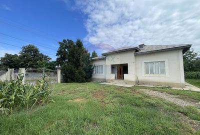 Casa cu 4 camere Suraia