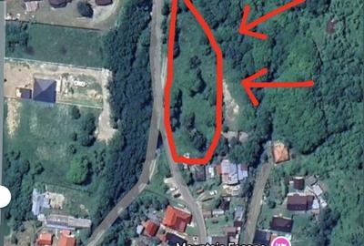Spațiu comercial, în Malaia - 2