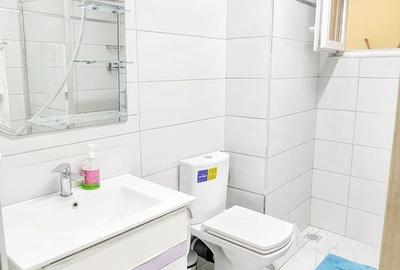 Apartament cu 2 camere decomandat, mobilat în Centrul Civic - 10