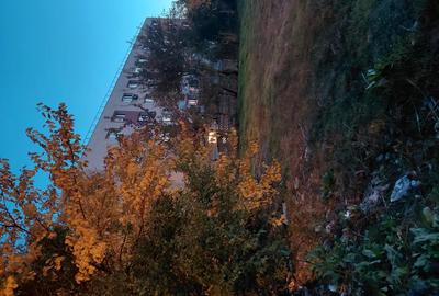 Vand garsoniera 20 m patrati + loc de parcare din terenul blocului - 2