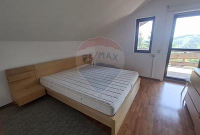 Casa de vacanta in Magura, la poalele Muntilor Piatra Craiului - 14