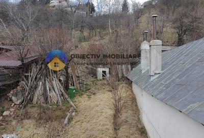 Teren intravilan Piatra-Neamt - 8