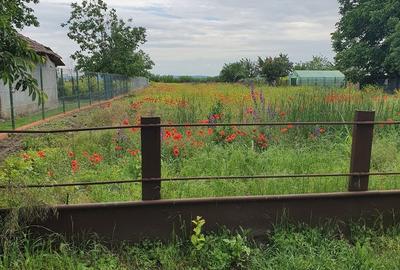 Teren de 3000 mp, în Dorobanțu - 6