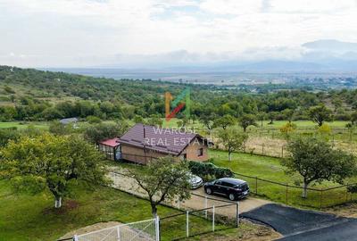 Teren Investitie- 1730 mp-Cabana construita 60 mp - 12