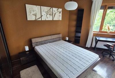 Apartament cu 2 camere, mobilat în Gorjului - 2