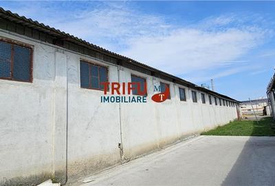 Spațiu Industrial în Alba Iulia de închiriat - 4