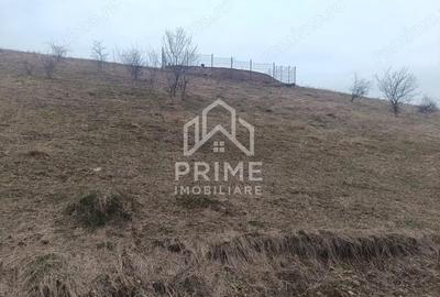 Teren de 310 mp, în Central