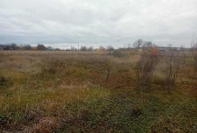 Casă cu 2 camere în Central - 5