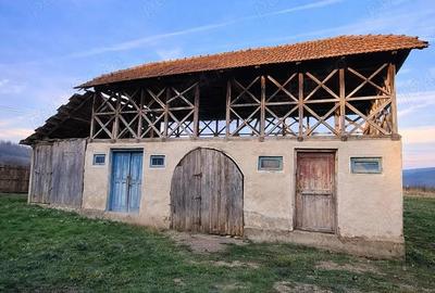 Teren 4.443 mp intravilan + extravilan | Nicolae Balcescu Ple?oiu, jud Valcea - 3