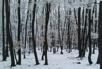 Teren de 16950 mp, în Blaj - 1