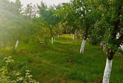 Casă cu 3 camere în Sânmartin - 2