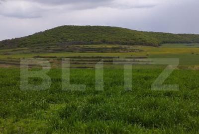 Teren extravilan 3621 mp, in Petrestii de Mijloc - 5