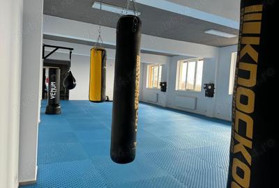 Inchiriere sala de sport - Popesti Leordeni - 4