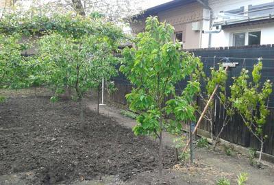 Casă în Viilor - 4