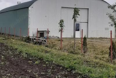 Inchiriez Hala 300 mp,cu elevatoare,canal,aparate vulcanizare - 3