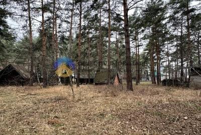 Teren Piatra Neamt - zona strand ideal pentru Hotel - 9